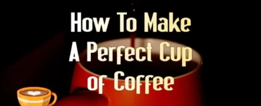 How to Make a Perfect Cup of Coffee